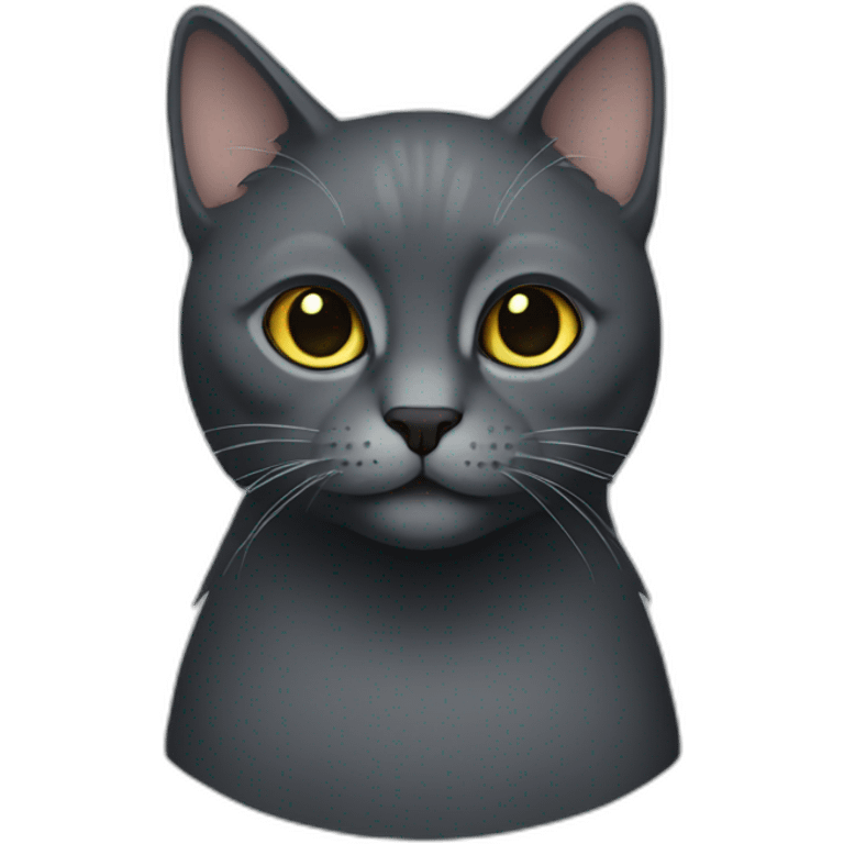 dark-gray-cat emoji