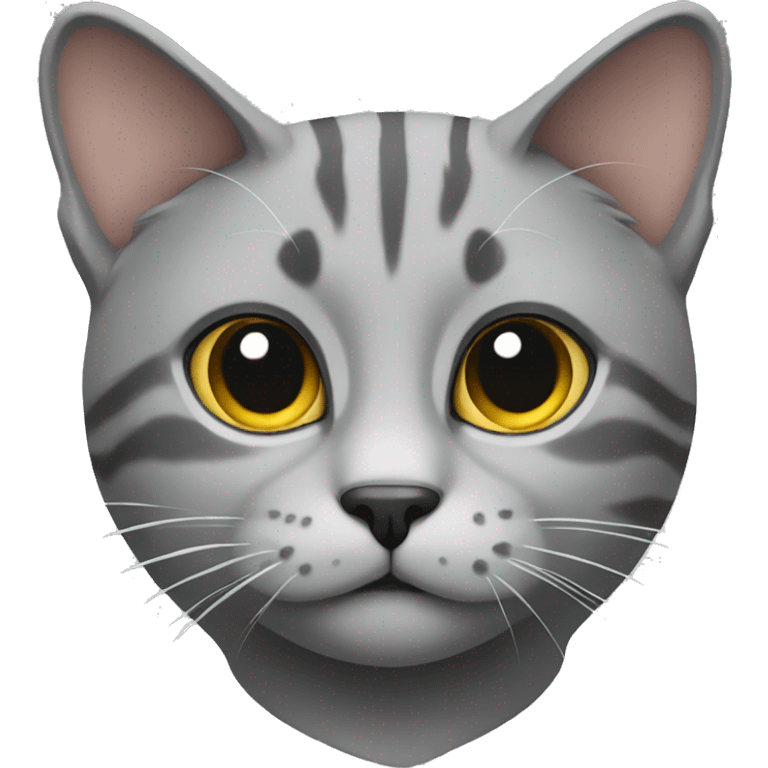 Cat grey emoji