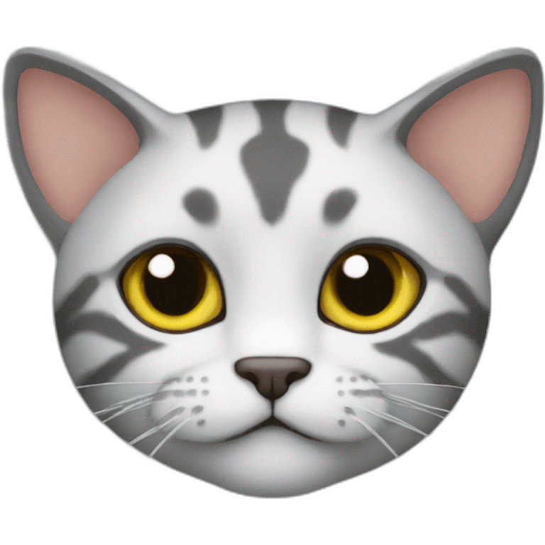 Gata emoji