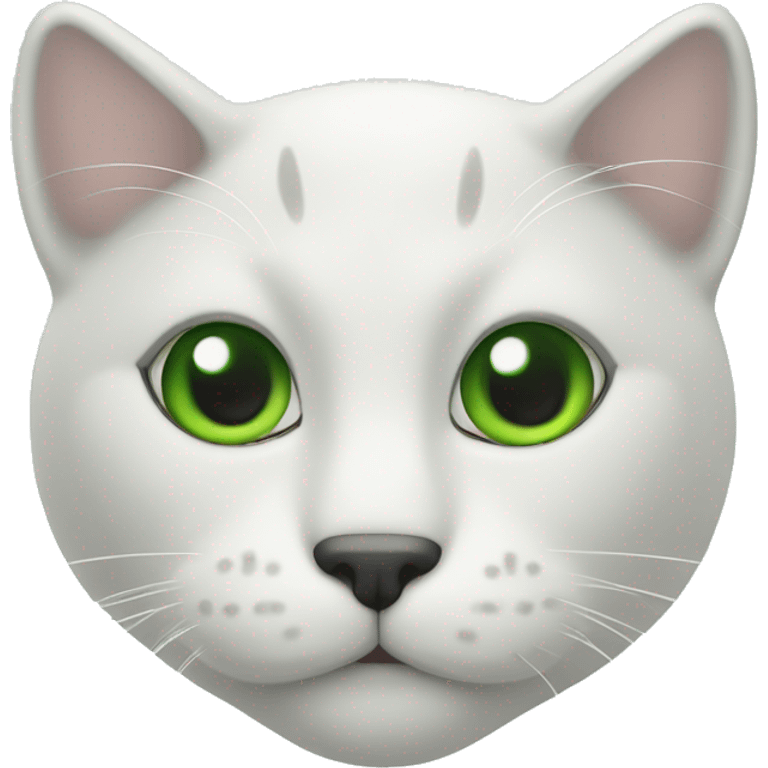 Gato blanco con ojos verdes y pelaje largo  emoji