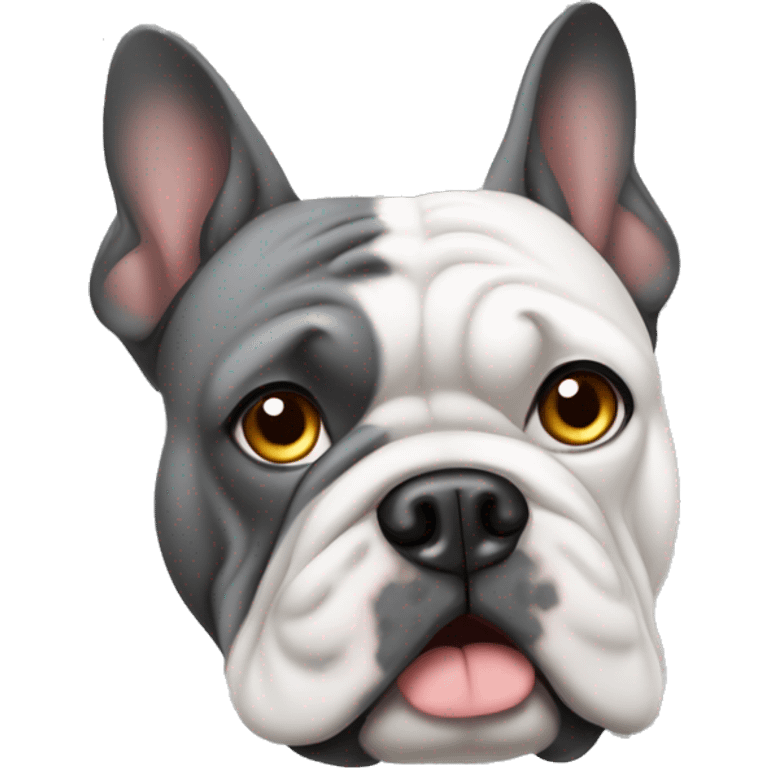 Französische Bulldogge grau emoji