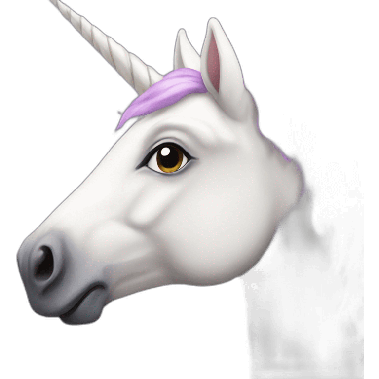 Unicorn  emoji