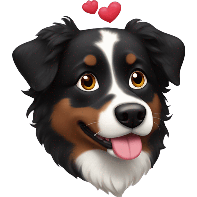 Small black australian shepherd dog with huge maroon heart emoji