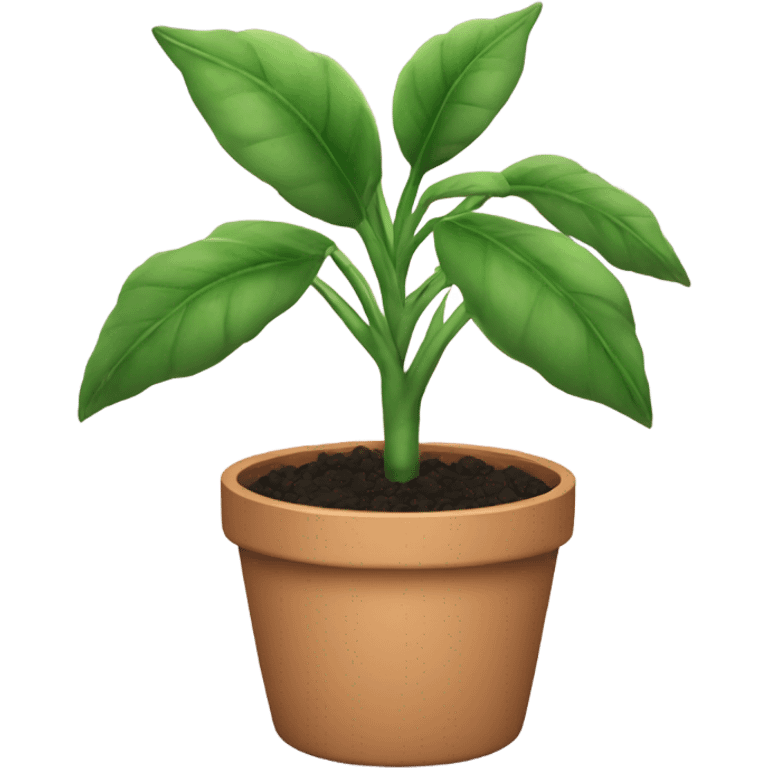 Pot plant  emoji