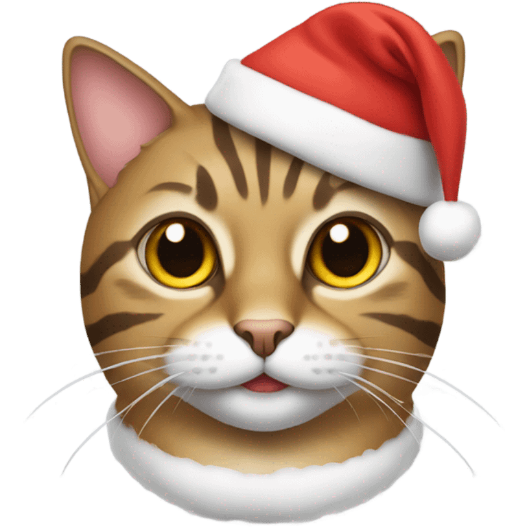 Tabby cat with a santa hat  emoji