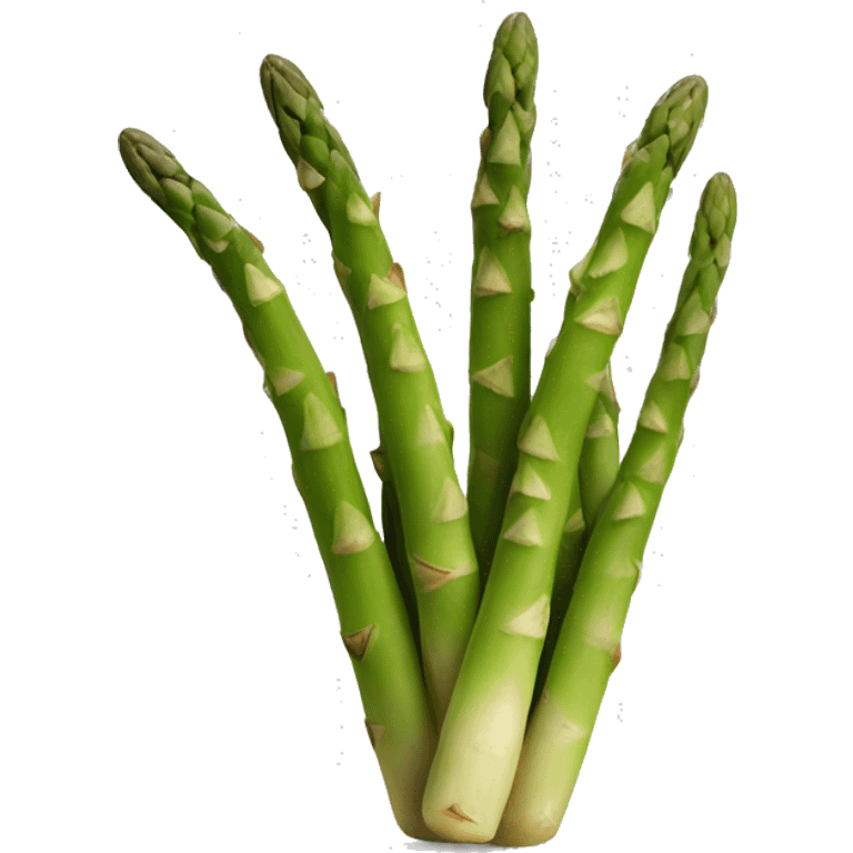 Asparagus  emoji