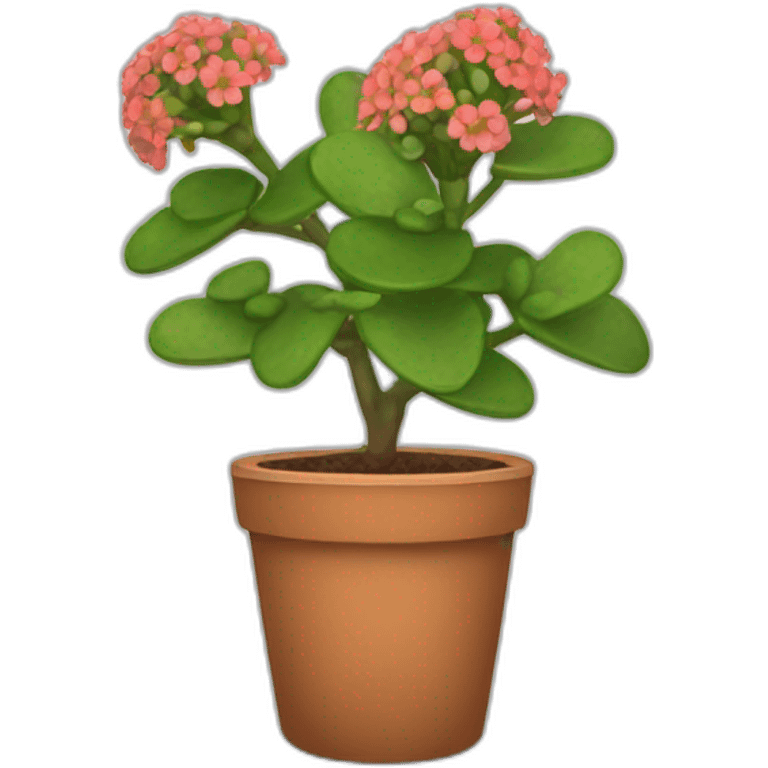 Kalanchoe emoji