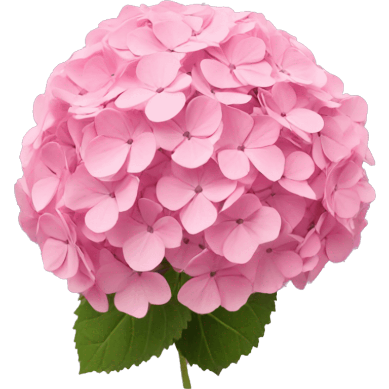 Pink hydrangea emoji