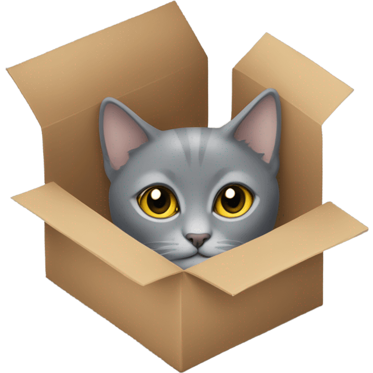 Hiding grey short hair cat in a box emoji