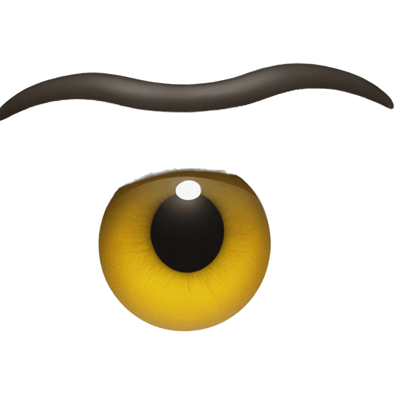 eyeball with an ! inside emoji