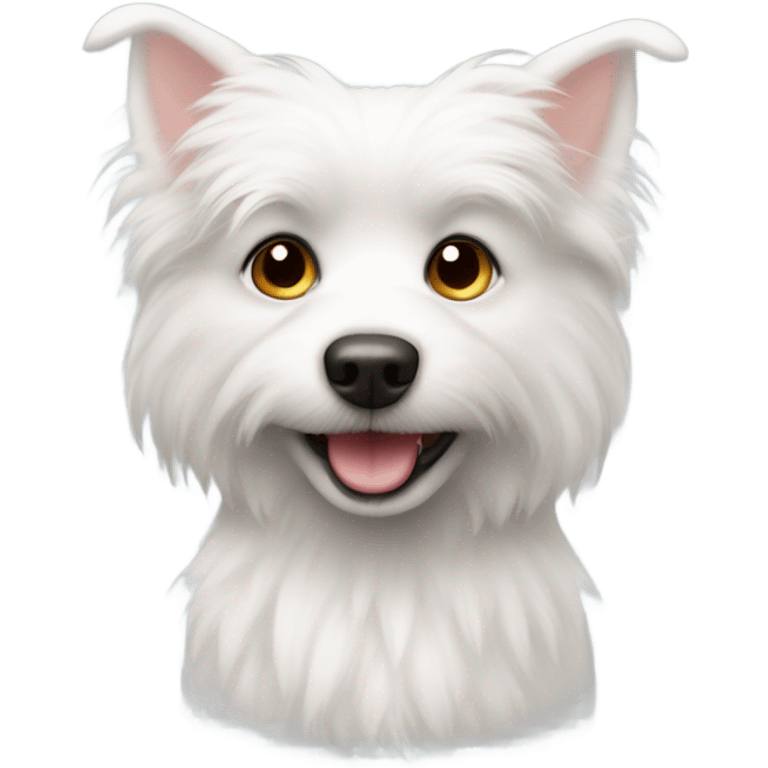 Small white dog  emoji