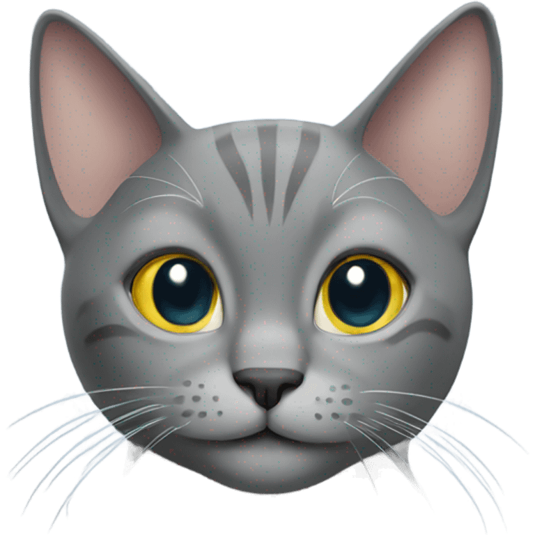 Grey cat saying hi emoji