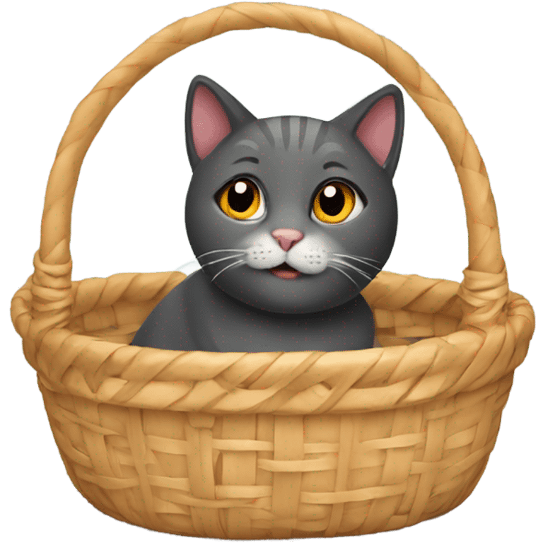 Cat in a basket emoji