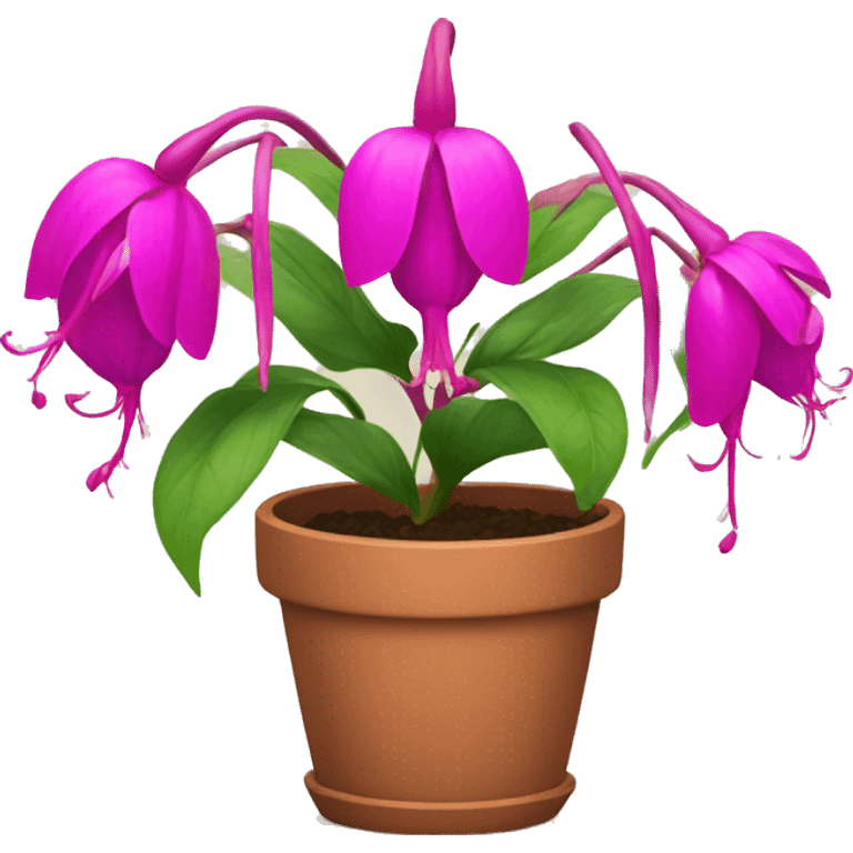 fuchsia Flowers in a pot emoji