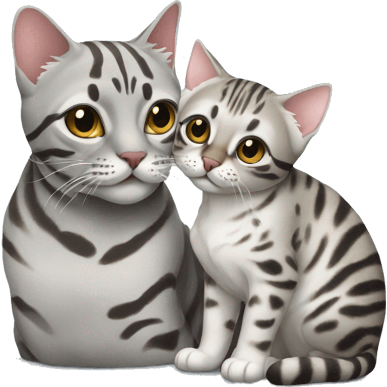 a silver Bengal cat kiss a Bengal cat emoji