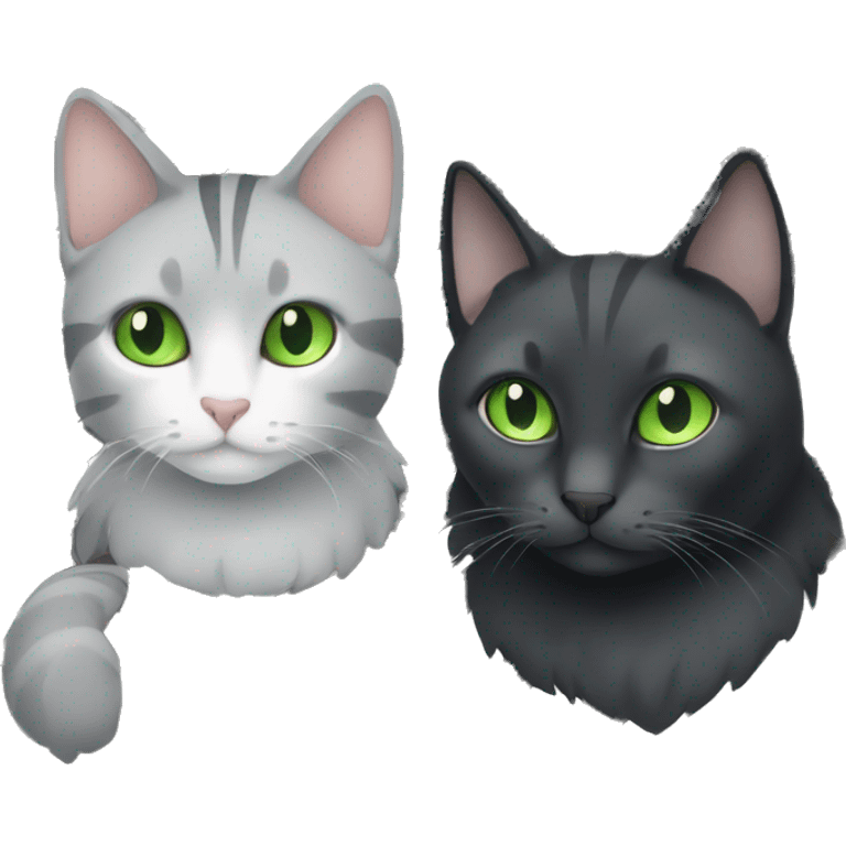 gray cat with white stripes and green eyes, and another black cat with white emoji