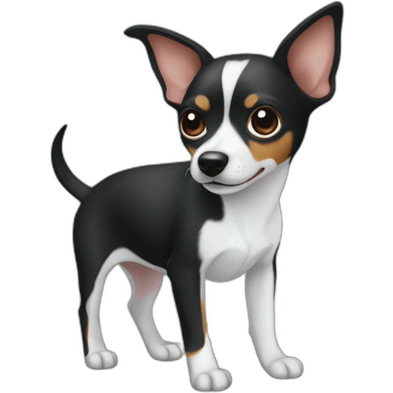 black and white rat terrier mix dog emoji