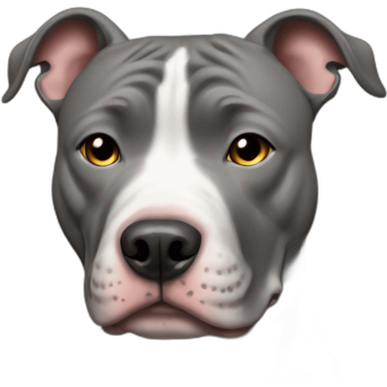 pitbull dog grey in love emoji