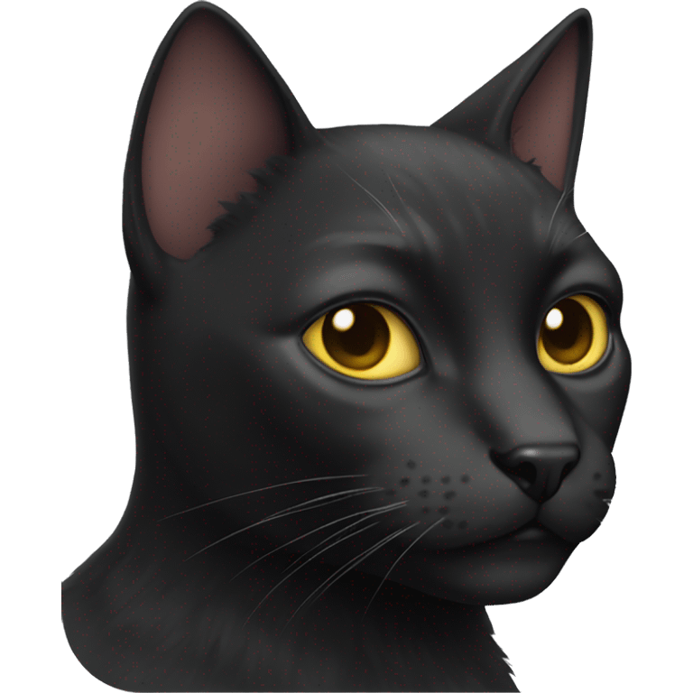 BLACK CAT HERO emoji