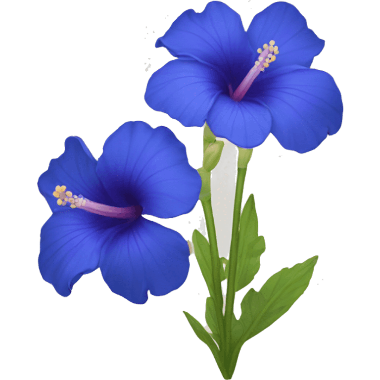 Blue ibiscus flower  emoji