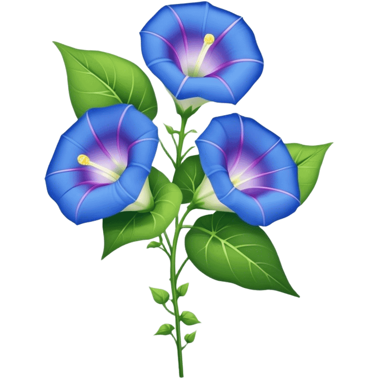 big bouquet Morning Glory stem, leaf emoji