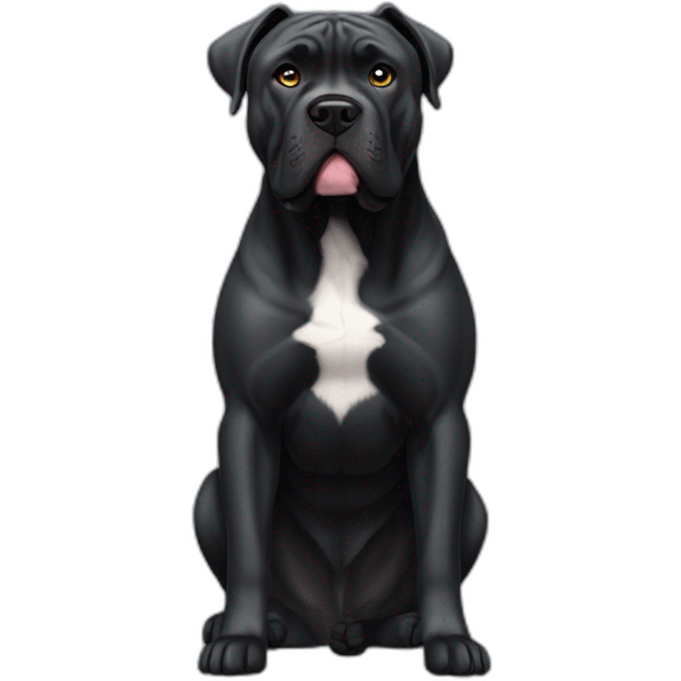 Black Cane Corso with a white spot emoji