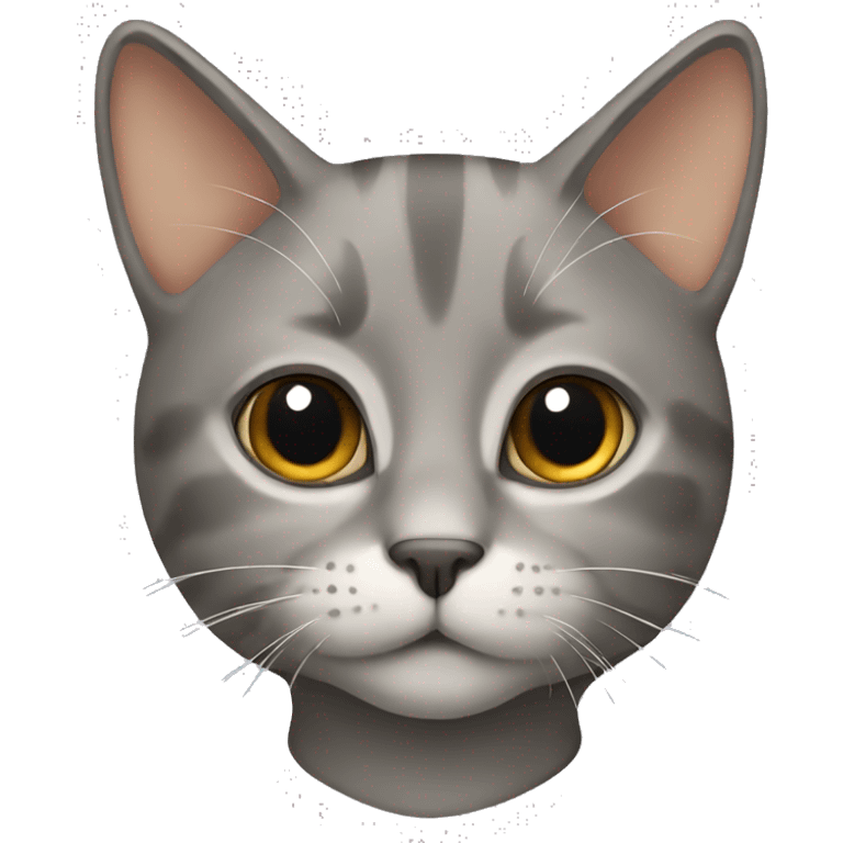 Grey and tan cat emoji