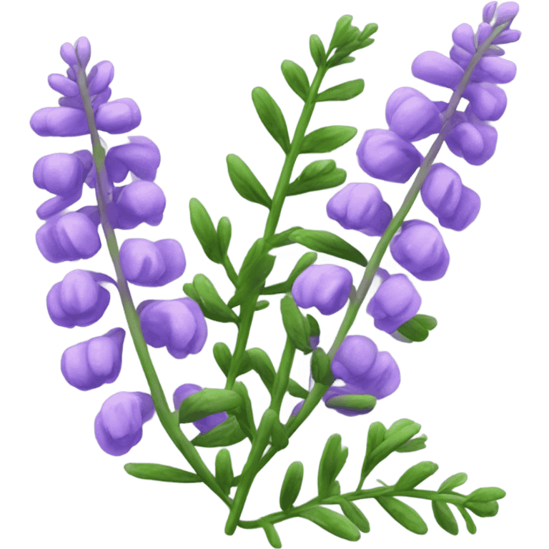 Hairy Vetch emoji