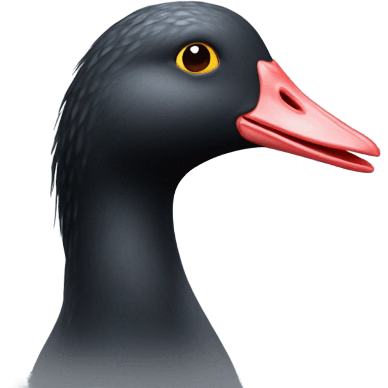 coot realistic emoji emoji