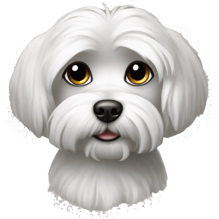 black and white maltese dog emoji