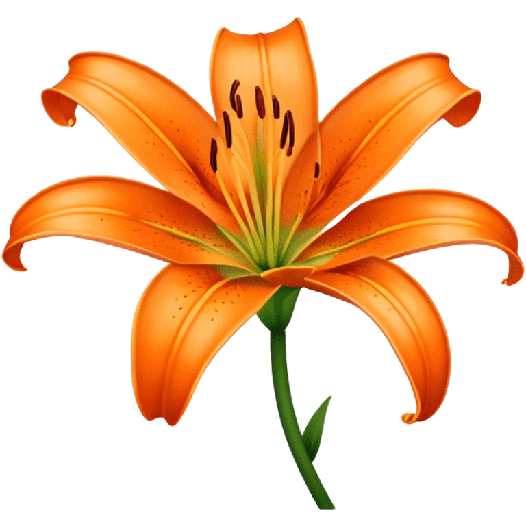 An orange Lilly flower  emoji