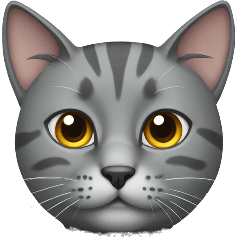 Grey cat of the Scottish breed emoji