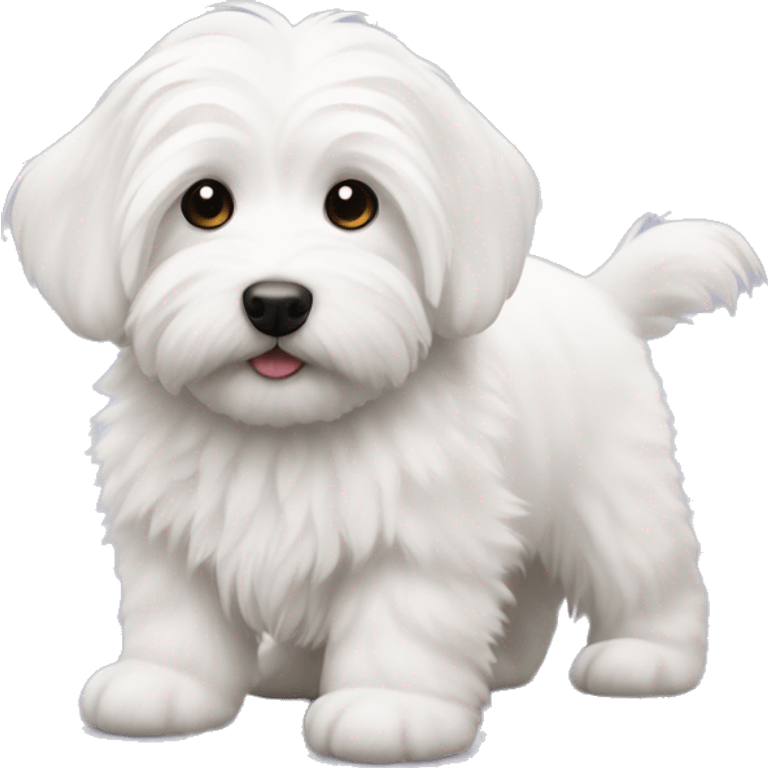 Coton de tulear Puppy emoji