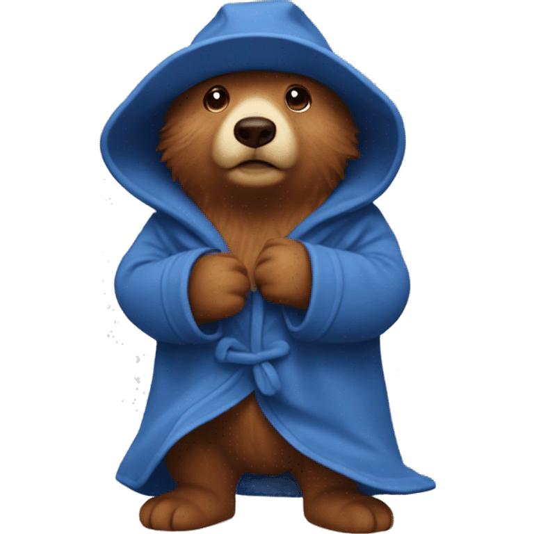 Paddington wearing a bath robe emoji