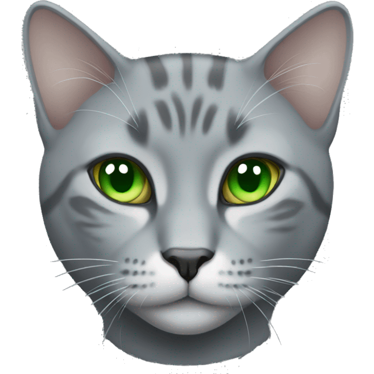 realistic grey cat with green eyes  emoji