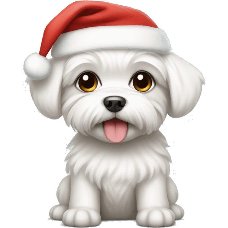 Maltese puppy wearing Santa hat emoji