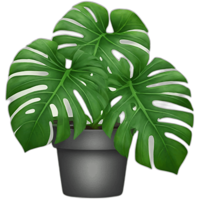 variegated Monstera emoji