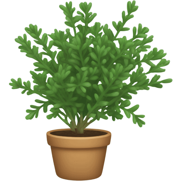 thyme emoji