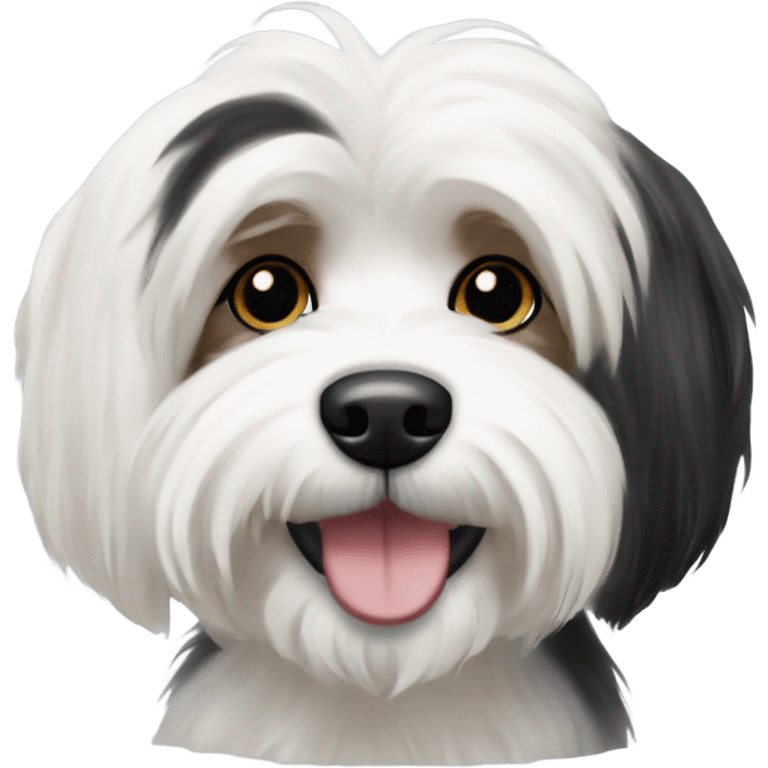 White and black havanese dog emoji