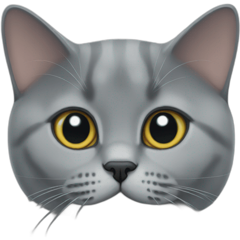 British shorthair emoji