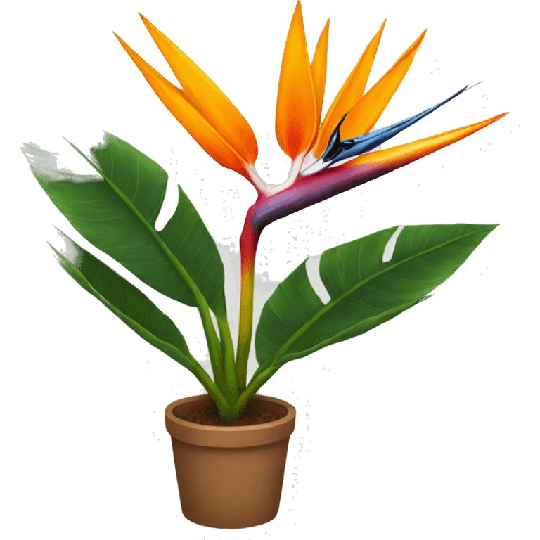 Bird of paradise plant emoji