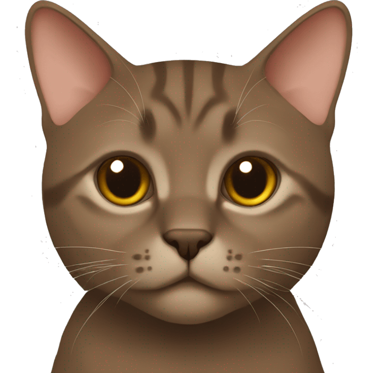 Brown British cat emoji