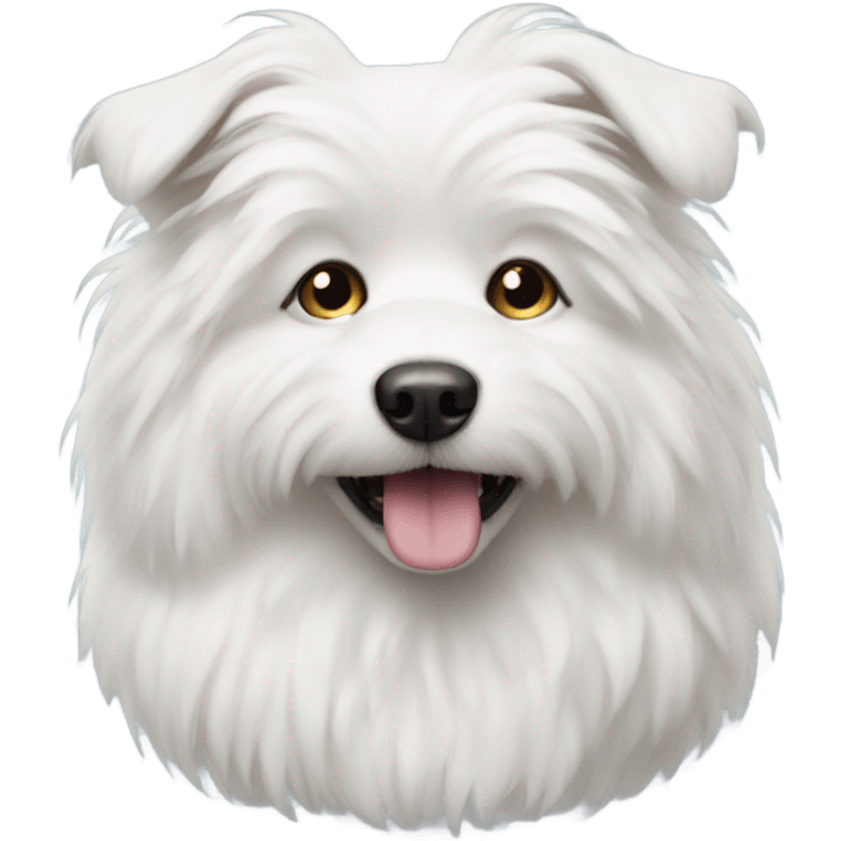 white fluffy dog emoji