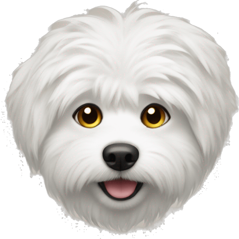 White furry dog  emoji