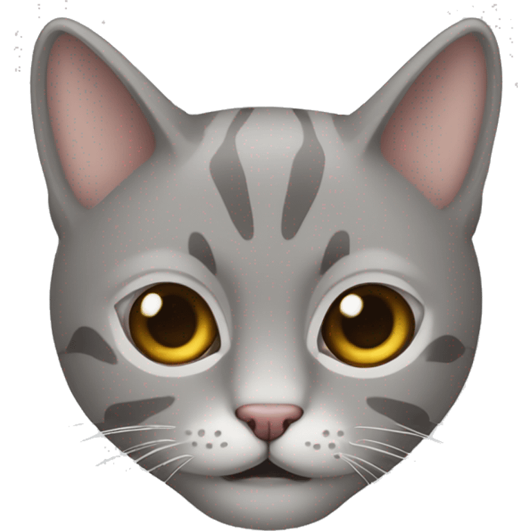 Gato gris con ojos marrones emoji