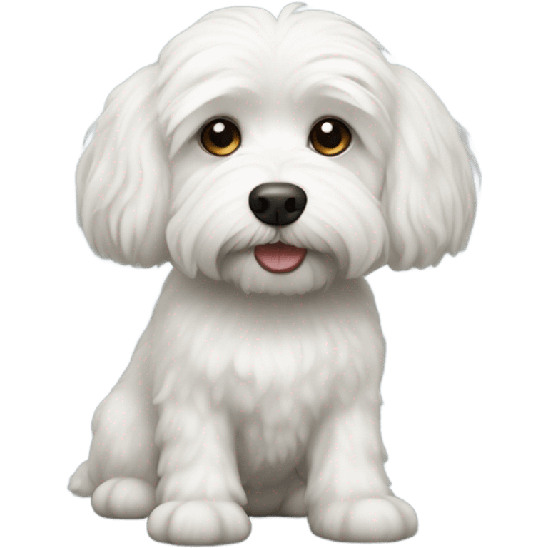 White male havanise dog emoji