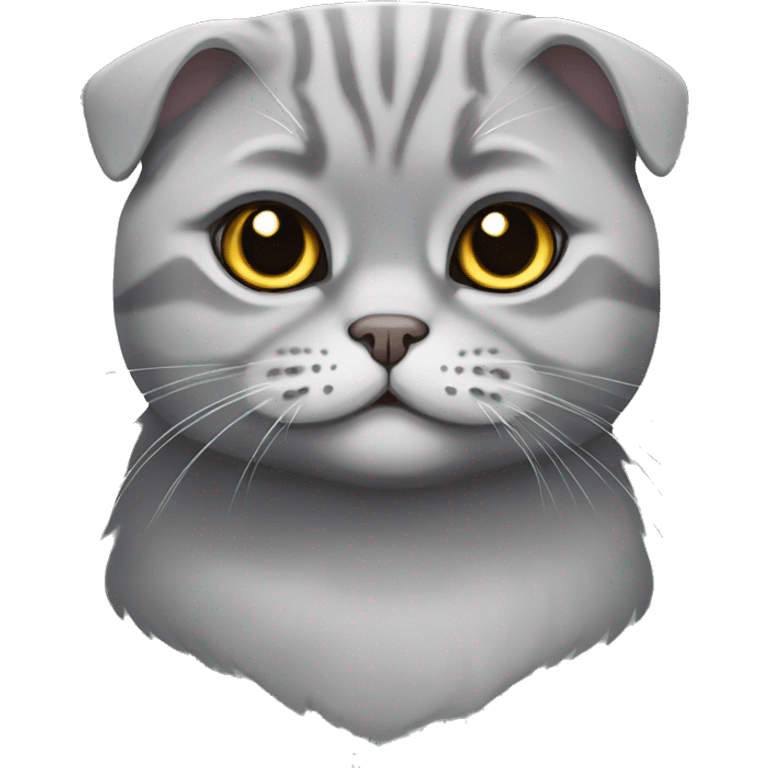 Grey Scottish fold cat emoji