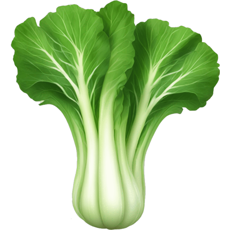 pak choi cabbage emoji