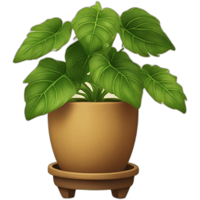 divine plant with big leaves in a brown flower pot on a stand in golden with four feet emoji