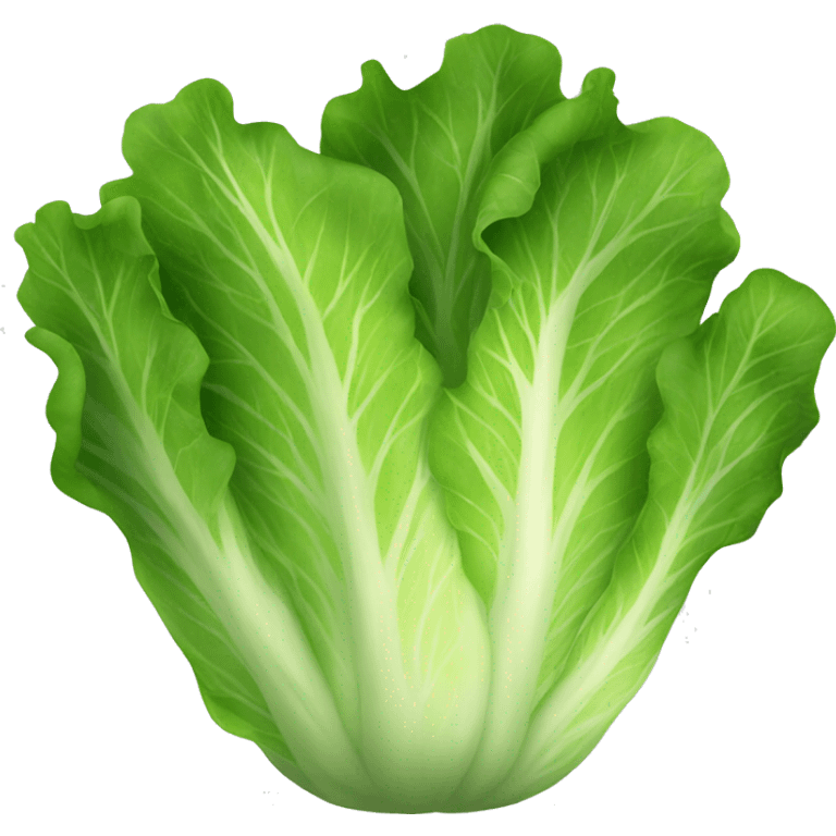 lettuce emoji